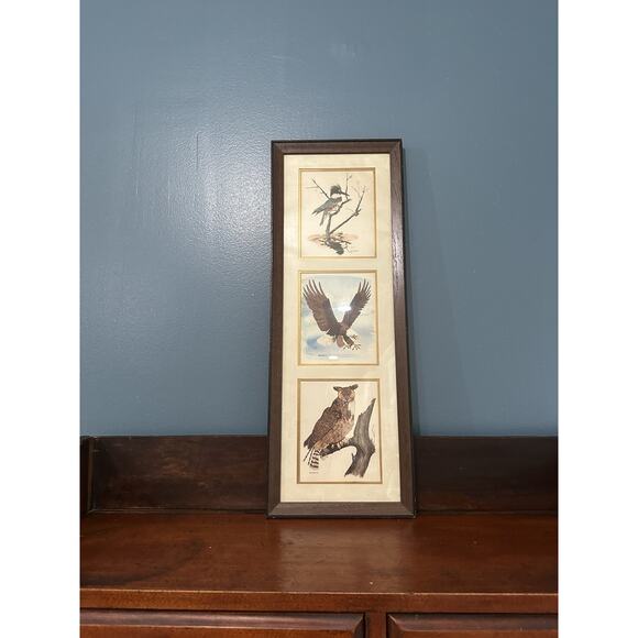 Gene Gray Wood Framed Signed 70 Prints King Fisher Bald Eagle Owl - Picture 5 of 5